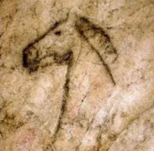 Painted horse in the paleolithic cave of Tito Bustillo, Ribadesella, Asturias.